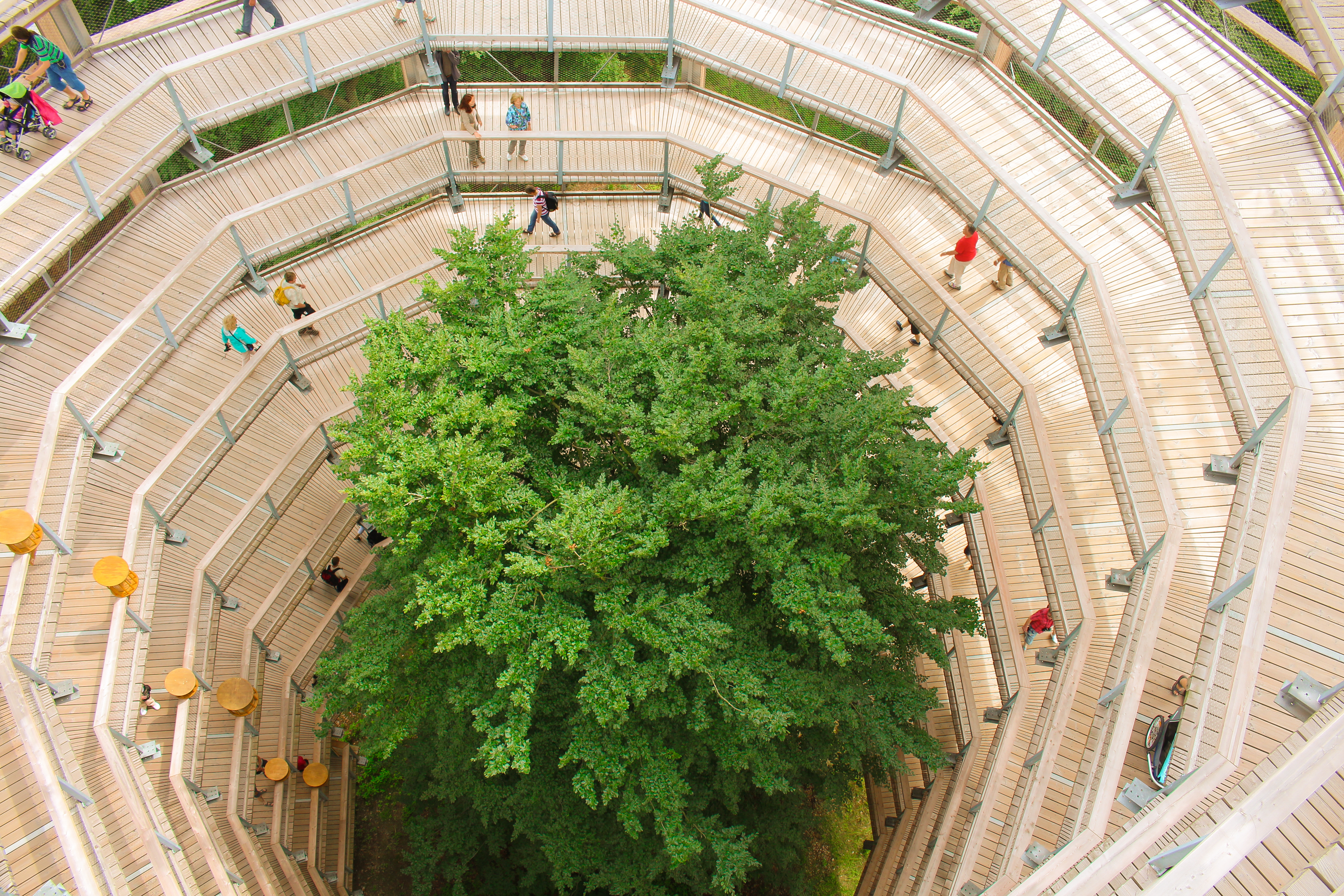 Baumwipfelpfad. R&R Strandhotel Baabe auf Rügen als guter Ausgangspunkt für Aktivitäten auf Rügen.